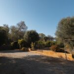 foto41